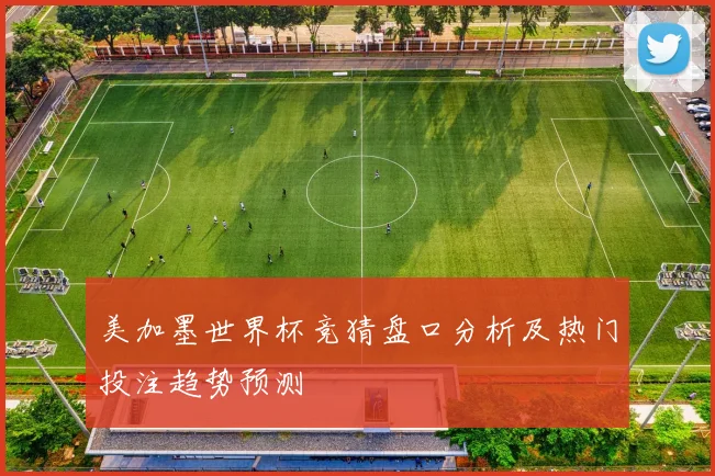 美加墨世界杯竞猜盘口分析及热门投注趋势预测