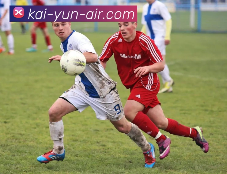 开云官网全站App